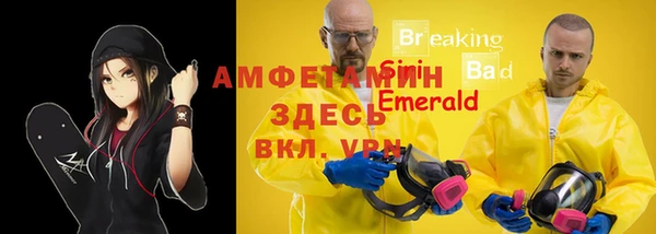 apvp Арсеньев