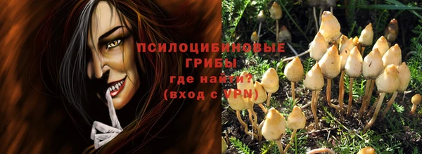 кокс Аркадак