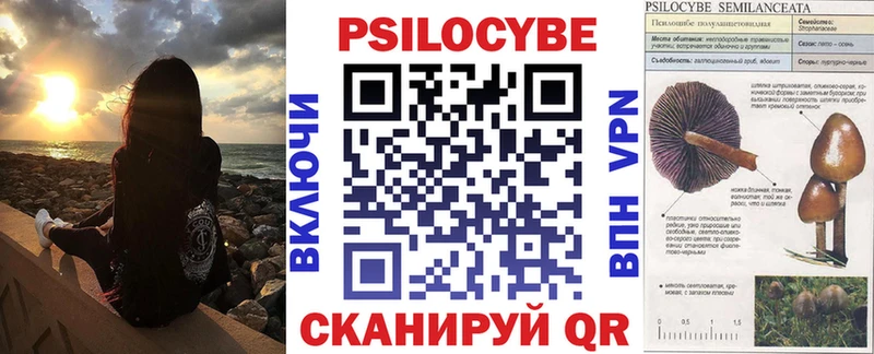 Псилоцибиновые грибы мицелий  omg как зайти  Пудож 