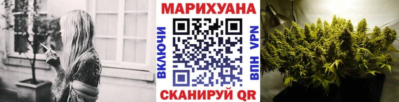 закладка  Пудож  Бошки марихуана план 